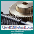 Hot Sale bronze/brass worm gear with worm(ISO9001-2008 approved)